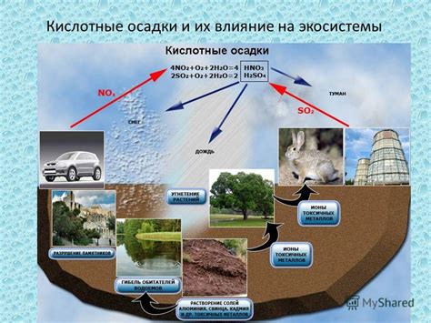 Как защититься от кислотных дождей: простые решения