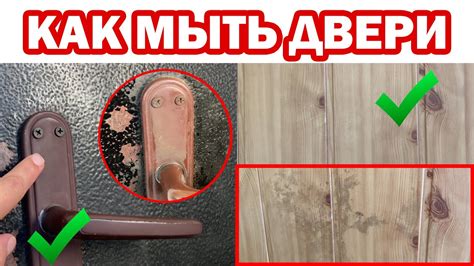 Как избавиться от хрущей в мебели и одежде