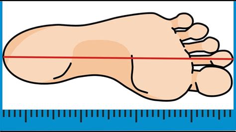 Как измерить длину стопы?