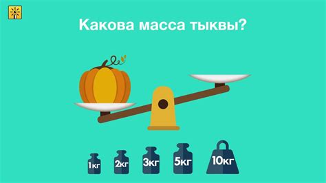 Как измерить массу с использованием весов