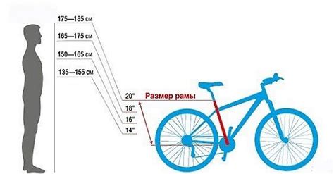 Как измерить свой рост для выбора размера велосипеда