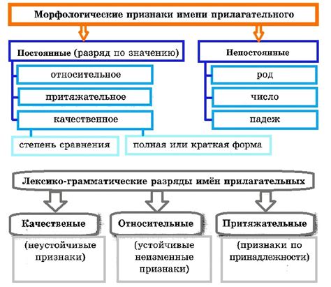 Как имя передает наследственные качества