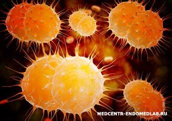 Как интерпретировать результаты ПЦР-мазки на Neisseria gonorrhoeae?