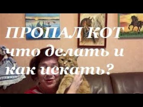 Как искать пропавшего кота?