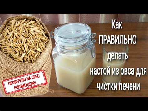 Как использовать бузу из овса в кулинарии: рецепты