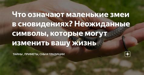 Как использовать знания о сновидениях в повседневной жизни