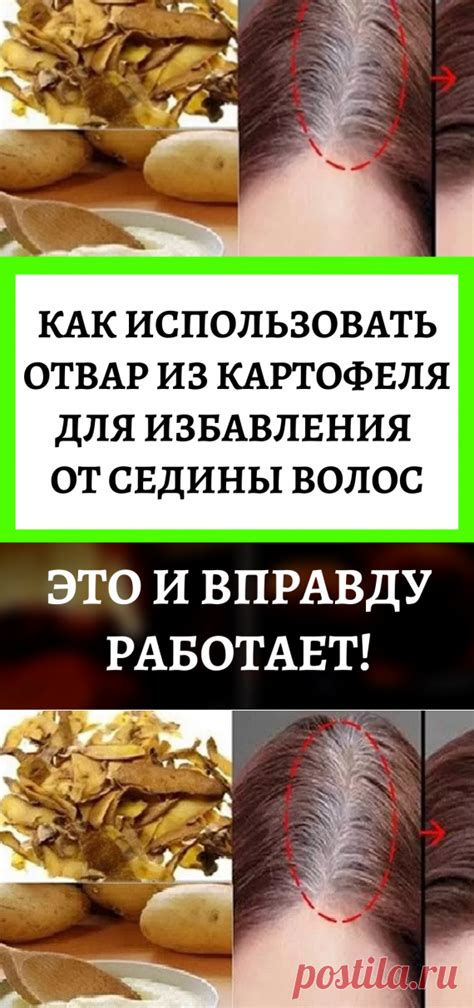 Как использовать медицинские препараты для избавления от кота