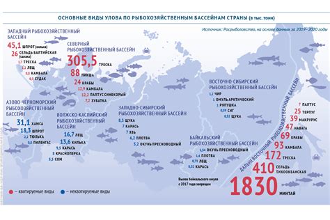 Как использовать рыболовство в своих постройках