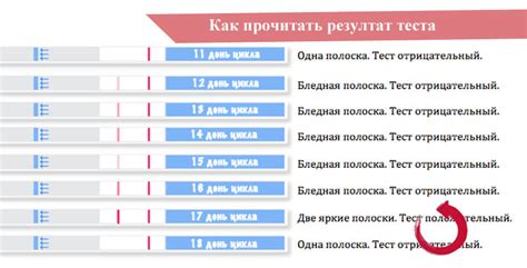 Как использовать тесты на овуляцию для определения первого дня