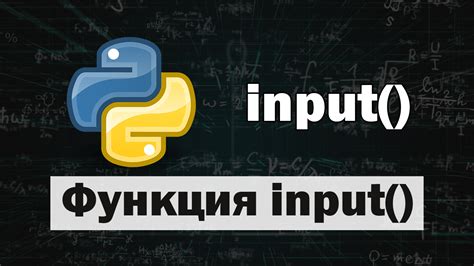 Как использовать функцию input в Python