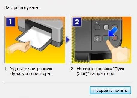 Как исправить проблему с замятием бумаги