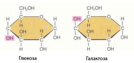 Как лечить глюкоза галактоза мальабсорбцию?