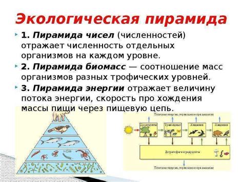 Как метаморфоз отражается на экосистеме