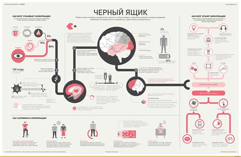 Как мозг выделяет главную информацию при чтении: поиск ключевых слов и идей