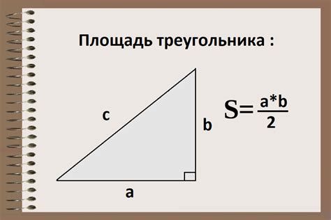 Как найти площадь треугольника пятого класса