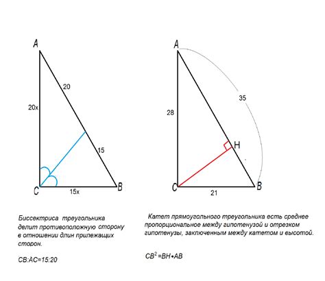 Как найти противоположную сторону и гипотенузу треугольника