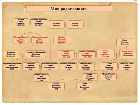 Как найти свою родословную в архиве