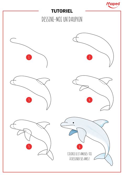 Как нарисовать дельфина: подробная инструкция
