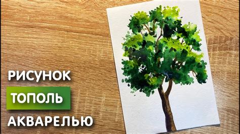 Как нарисовать тополь для ребенка: пошаговая инструкция