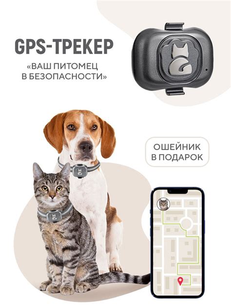 Как настроить GPS трекер для животных