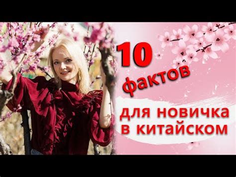 Как начать изучать китайский язык: подробное руководство для новичков