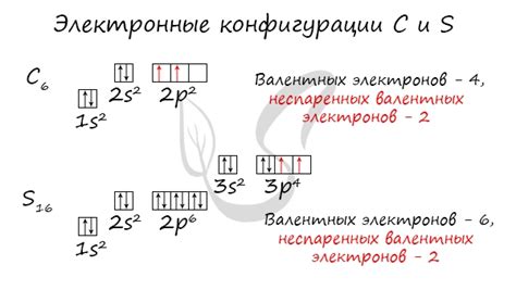 Как неспаренные электроны помогают в косметологии