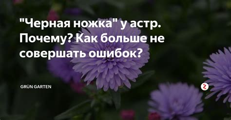 Как не совершать ошибок