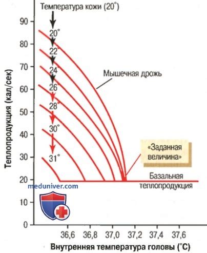 Как низкая температура влияет на компоненты