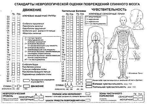 Как определить болевой порог дома