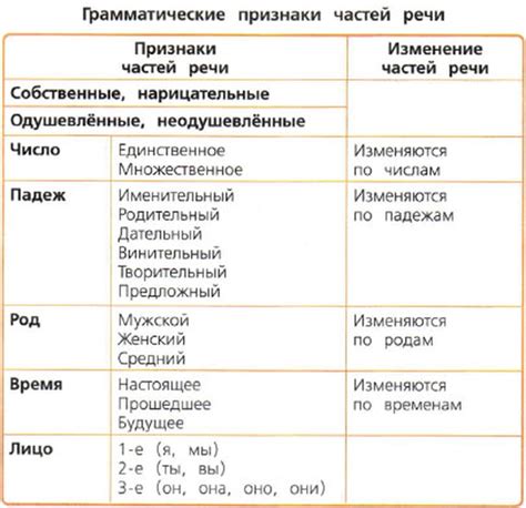 Как определить грамматические характеристики прилагательного