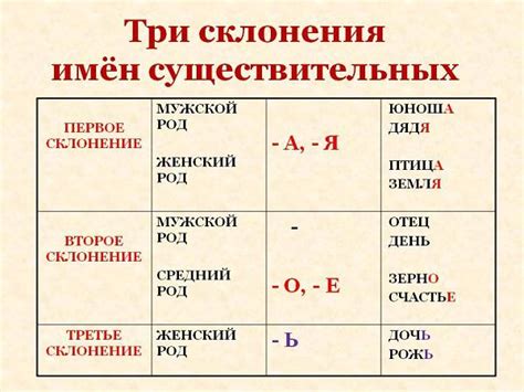 Как определить лицо у существительного: простой подход