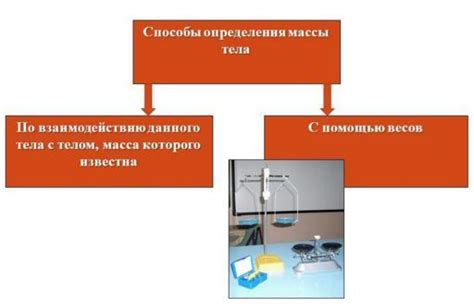 Как определить массу с помощью весов