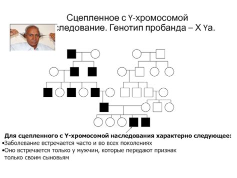 Как определить наследуется ли признак по принципам наследования сцепленного с полом?