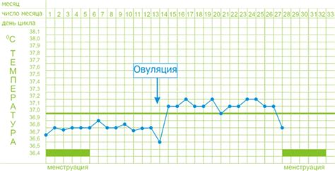 Как определить овуляцию по графику