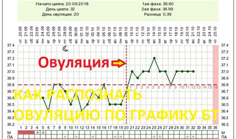 Как определить овуляцию по графику базальной температуры