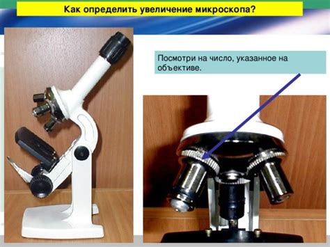 Как определить подходящий тип электронного микроскопа для своих нужд