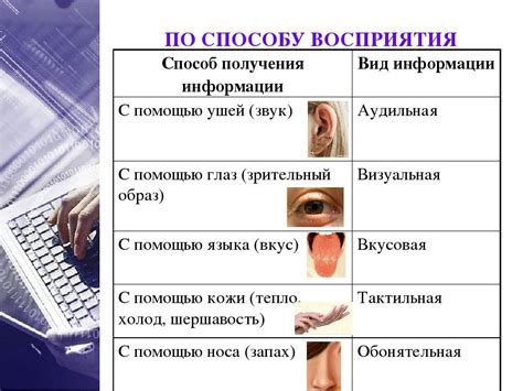 Как определить типы восприятия детей