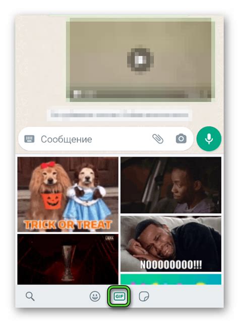 Как отправить гифку в WhatsApp