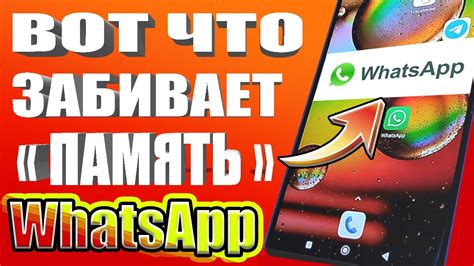 Как очистить кэш WhatsApp на Android