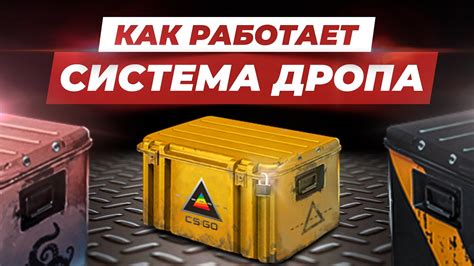 Как повысить шансы на получение плиз донат в Роблоксе