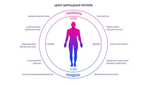 Как поддерживать идеальный график сна