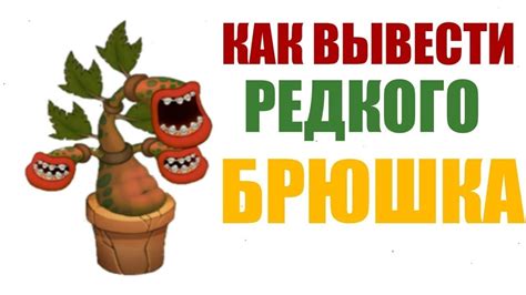 Как поддерживать результат после достижения редкого брюшка