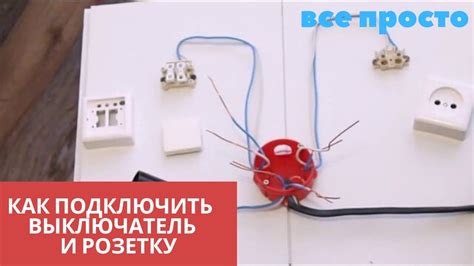 Как подключить розетку и выключатель