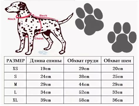 Как подобрать правильный размер повязки для собаки