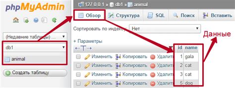 Как получить таблицу MySQL в phpMyAdmin