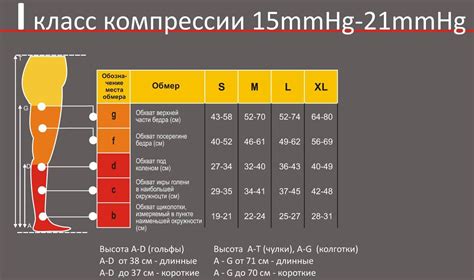 Как пользоваться таблицей размеров чулок