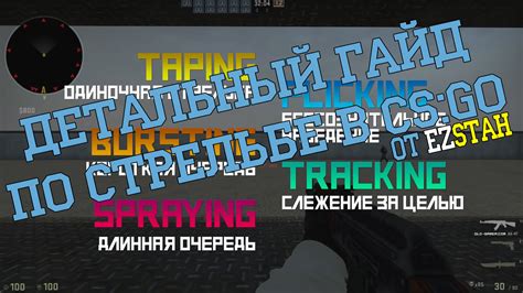 Как поменять настройки анимации в игре CS GO