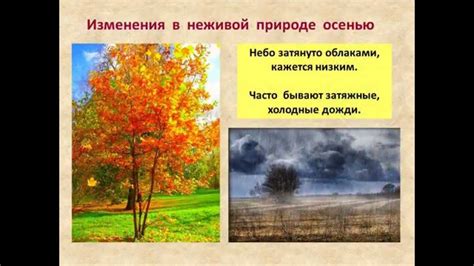 Как помочь детям запомнить и понять понятие о неживой природе