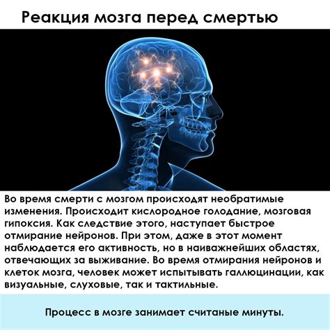 Как понять, что богомол умирает от старости?