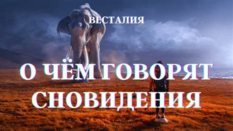 Как понять значение сновидения по названиям городов